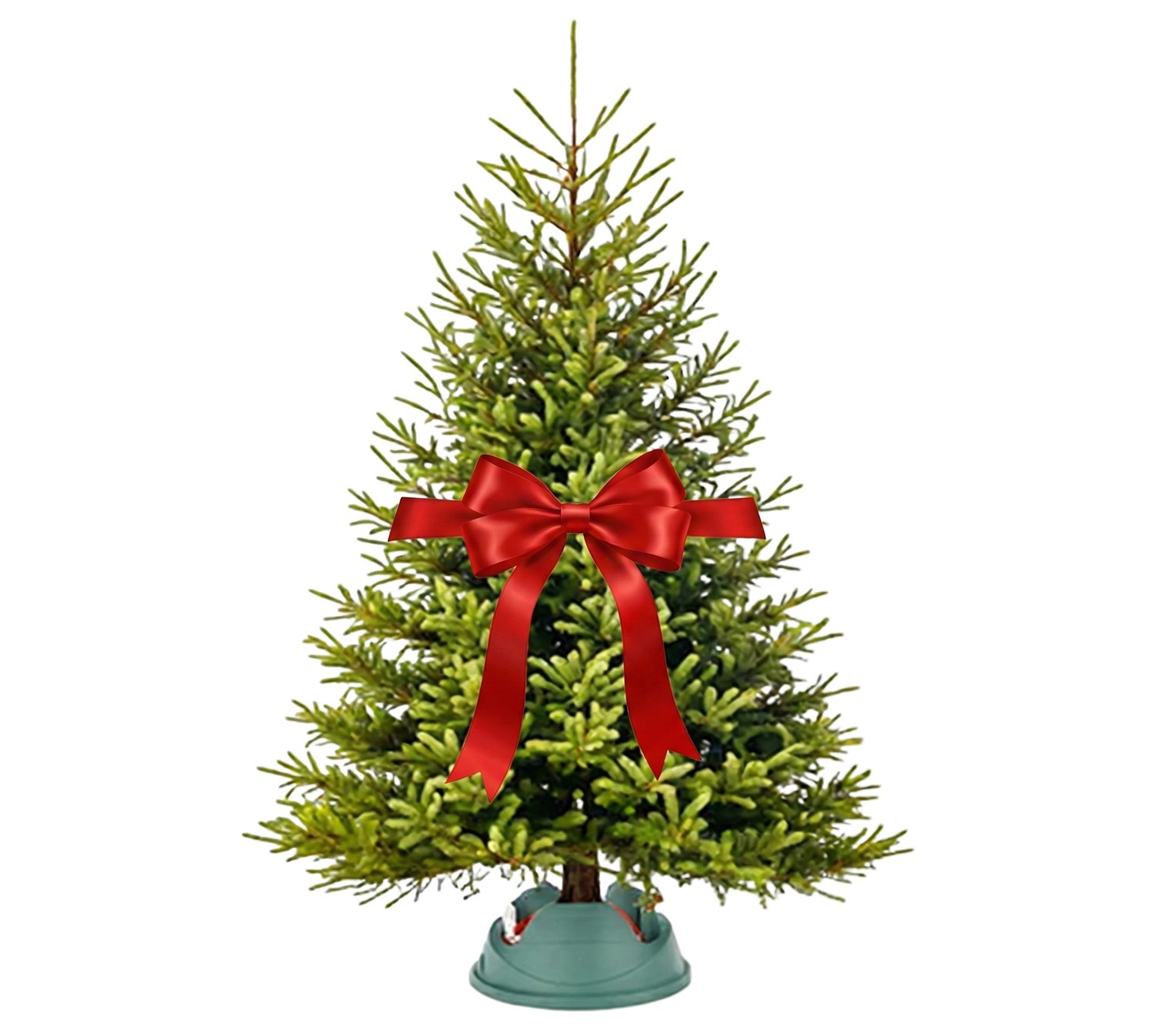 vianočný stromček zadarmo