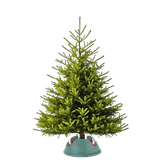 Vianočné stromčeky