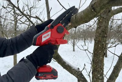 Zimný rez ovocných stromov: Prečo je február kľúčový mesiac pre vašu záhradu?