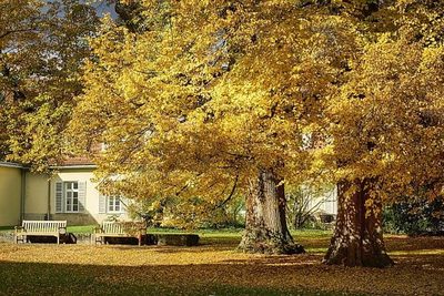 Ako efektívne upratať veľké plochy?