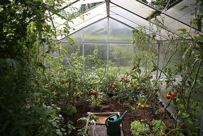 Ako správne zazimovať skleník