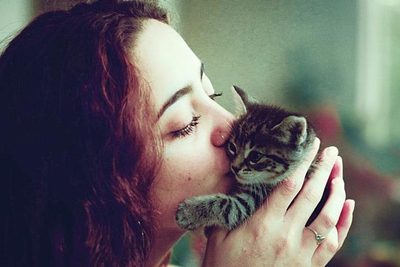 Ako sa hrať s mačkou?