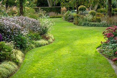 Ako sa v lete starať o trávnik?