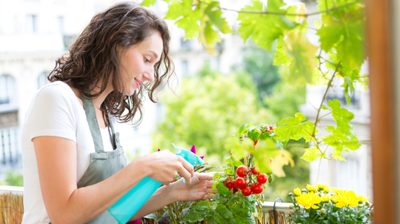 Záhrada na balkóne? Pestovať môžete aj bez pozemku!