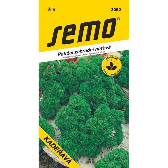 Petržlen vňaťový kučeravý -