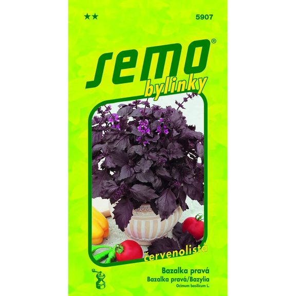 Bazalka pravá Purple Opaal