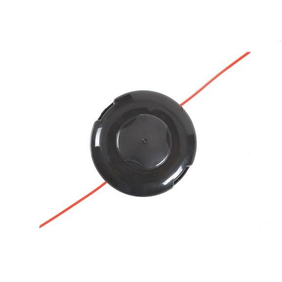 722540 - strunová hlava