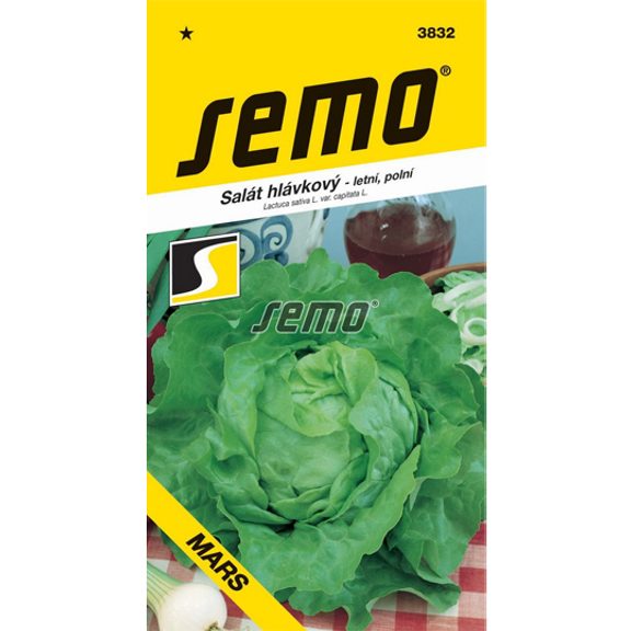 Letný šalát mars profi
