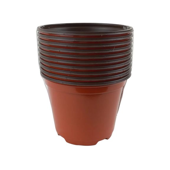 Kontajner Desch 10 cm