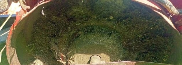 Pohľad na zanedbanú kosačku so znečisteným skeletom