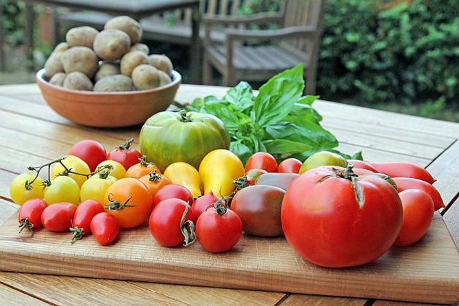 Prečo pestovať rajčiny alebo čo možno neviete
