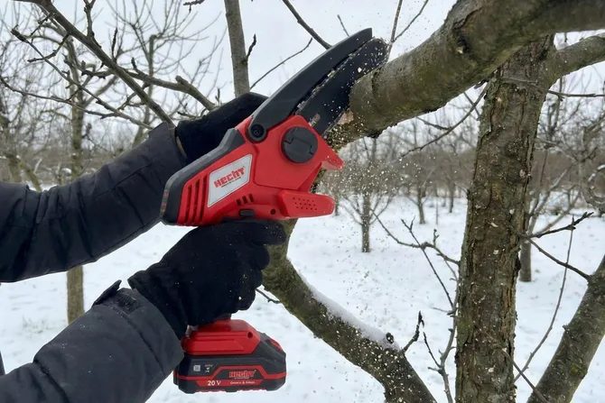 Zimný rez ovocných stromov: Prečo je február kľúčový mesiac pre vašu záhradu?