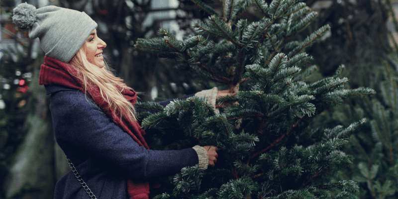 Žena stojí pri prémiovej kaukazskej jedli a rukou ju podopiera, sleduje jej ihličie