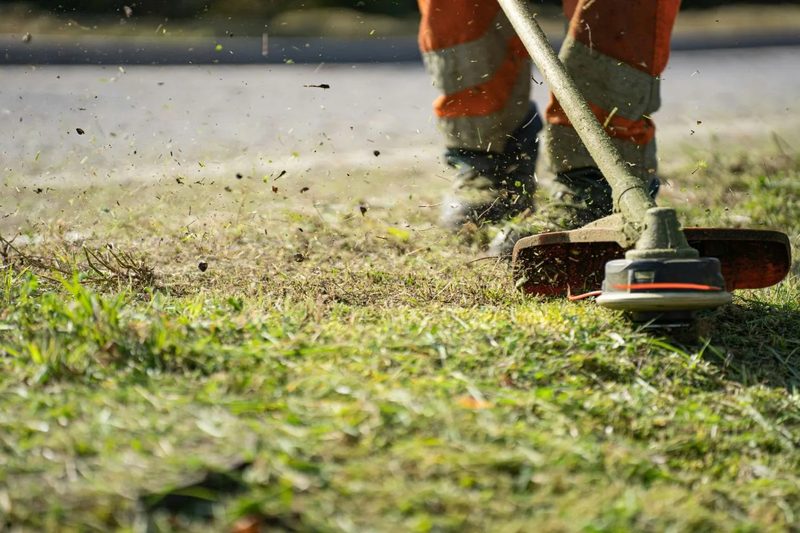 hlava krovinorezu so strunou kosí trávu