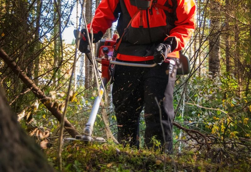 Krovinorez hecht so žacím nožom v prevádzke pri práci v lesnom poraste