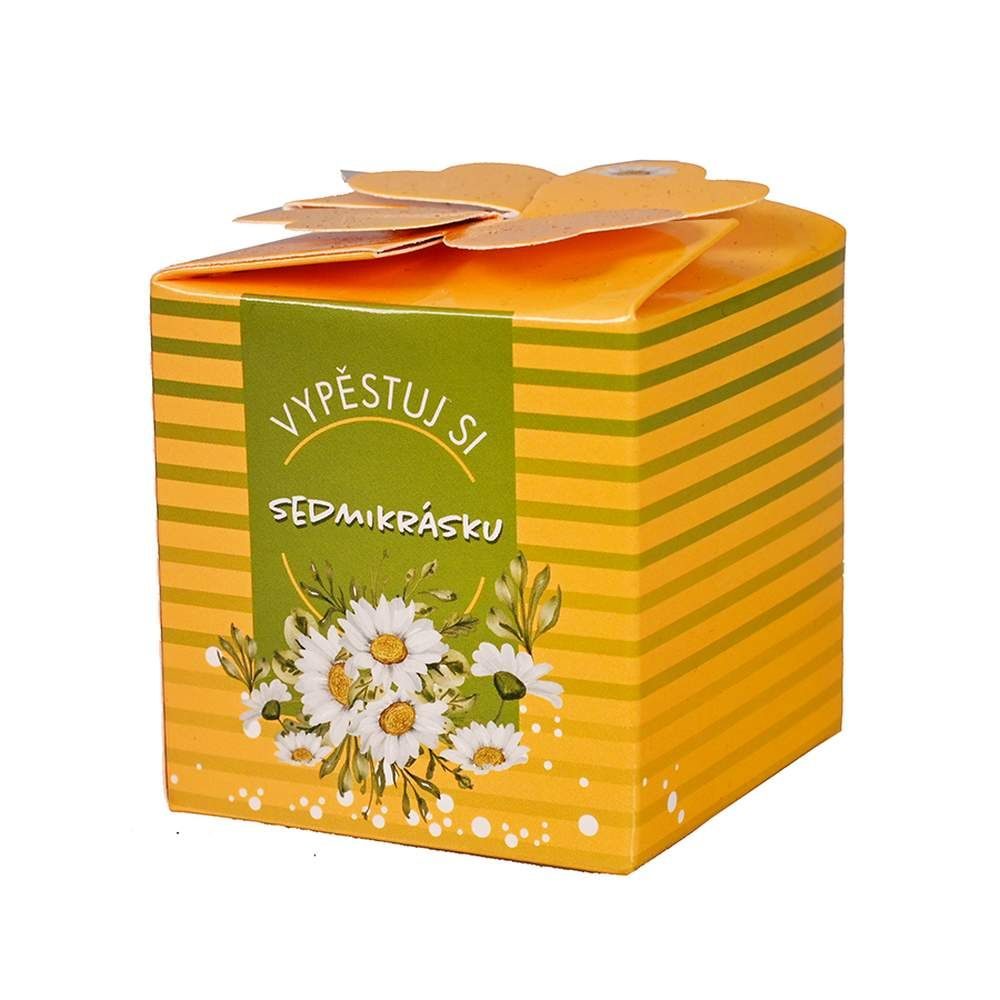 Levně Vypěstuj si sedmikrásku