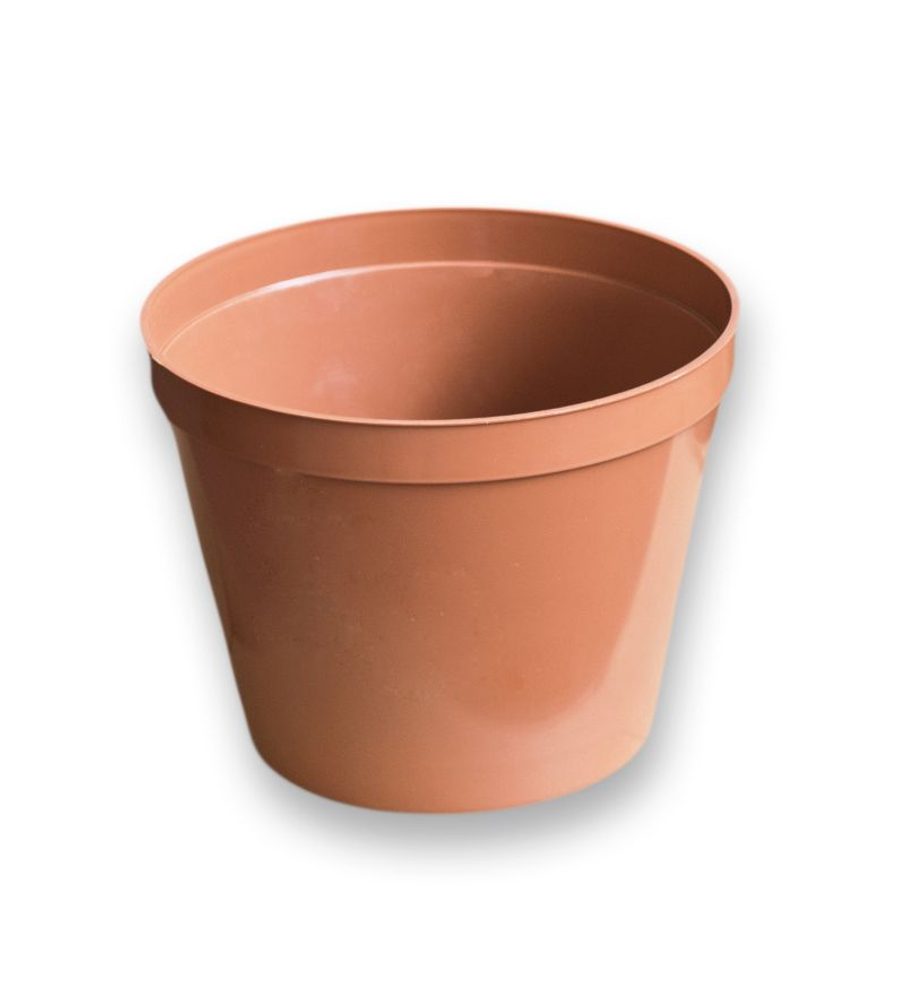 Levně květ. d18cm Standard TER