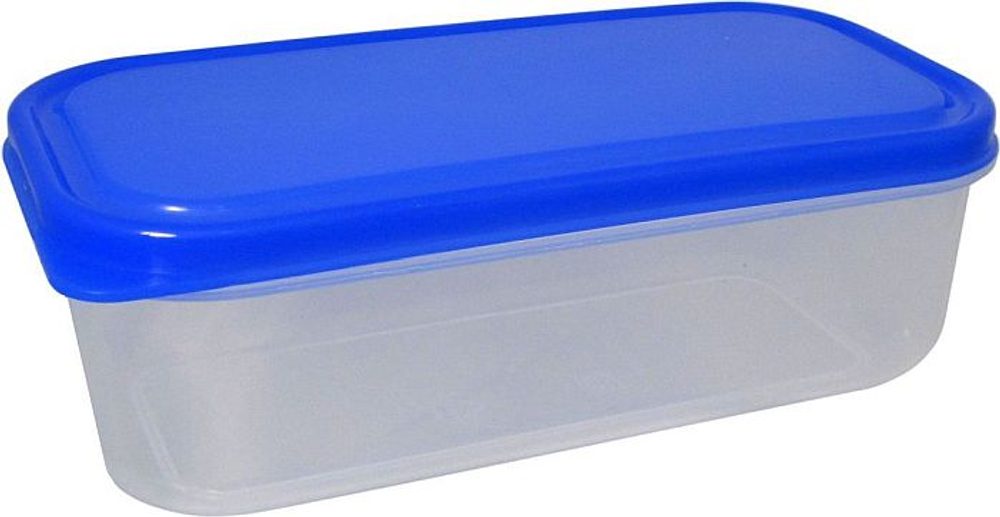 Levně box 1,00l FRESH 25x12x6cm, plast