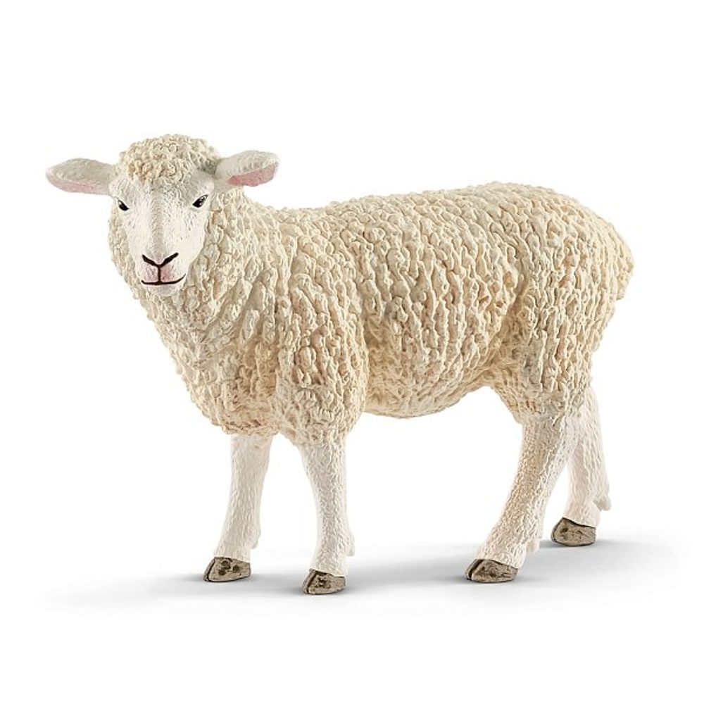 Levně SCHLEICH Zvířátko - Ovce