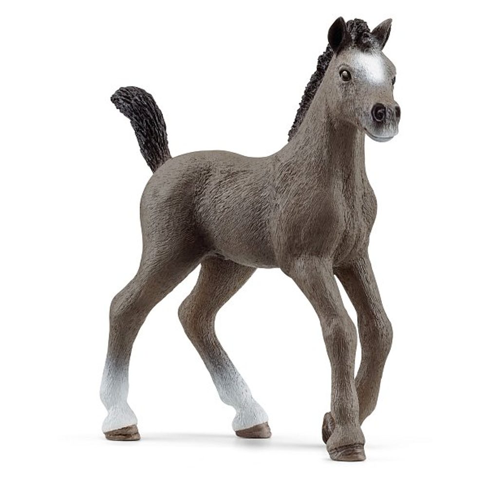 Levně SCHLEICH Zvířátko - Hříbě plemene Selle Français