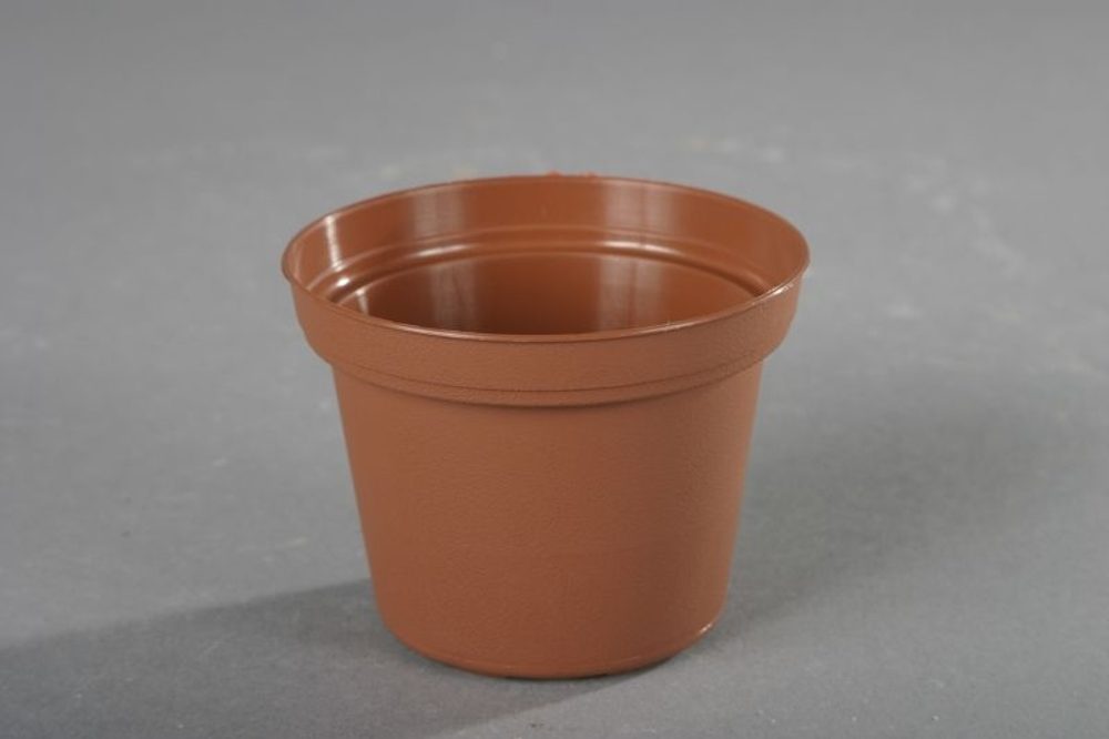 Levně květ. d 8cm CLASSIC TOD/leh 15 kusů