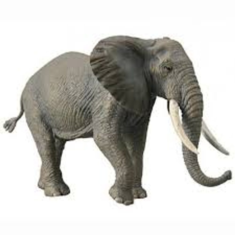 Levně COLLECTA Slon africký