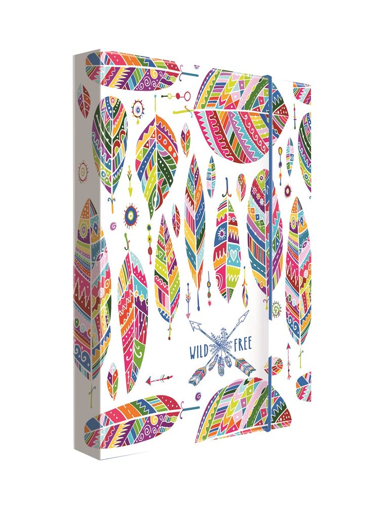 Levně Karton P+P Box na sešity A4 Jumbo Pírka KT5-79120