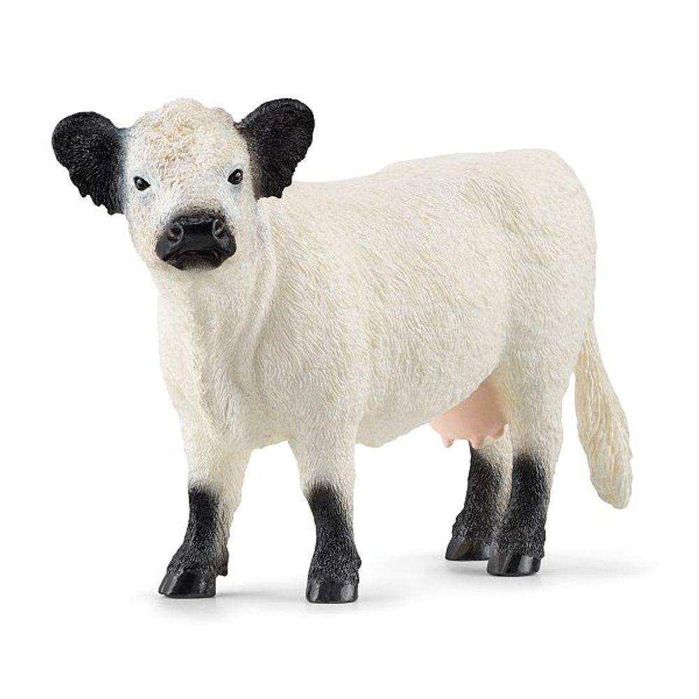 Levně SCHLEICH Zvířátko - Gallowayská kráva