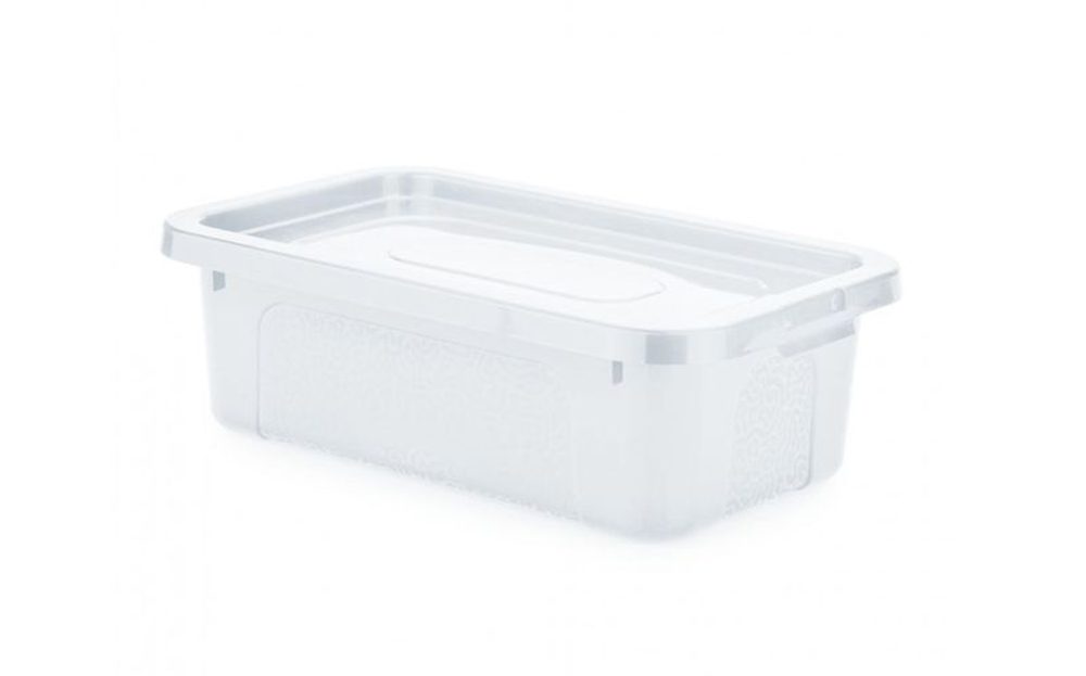Levně box 4,5l+víko, plný, 33x20x10cm, transp.RASTR, MULTIBOX, plast
