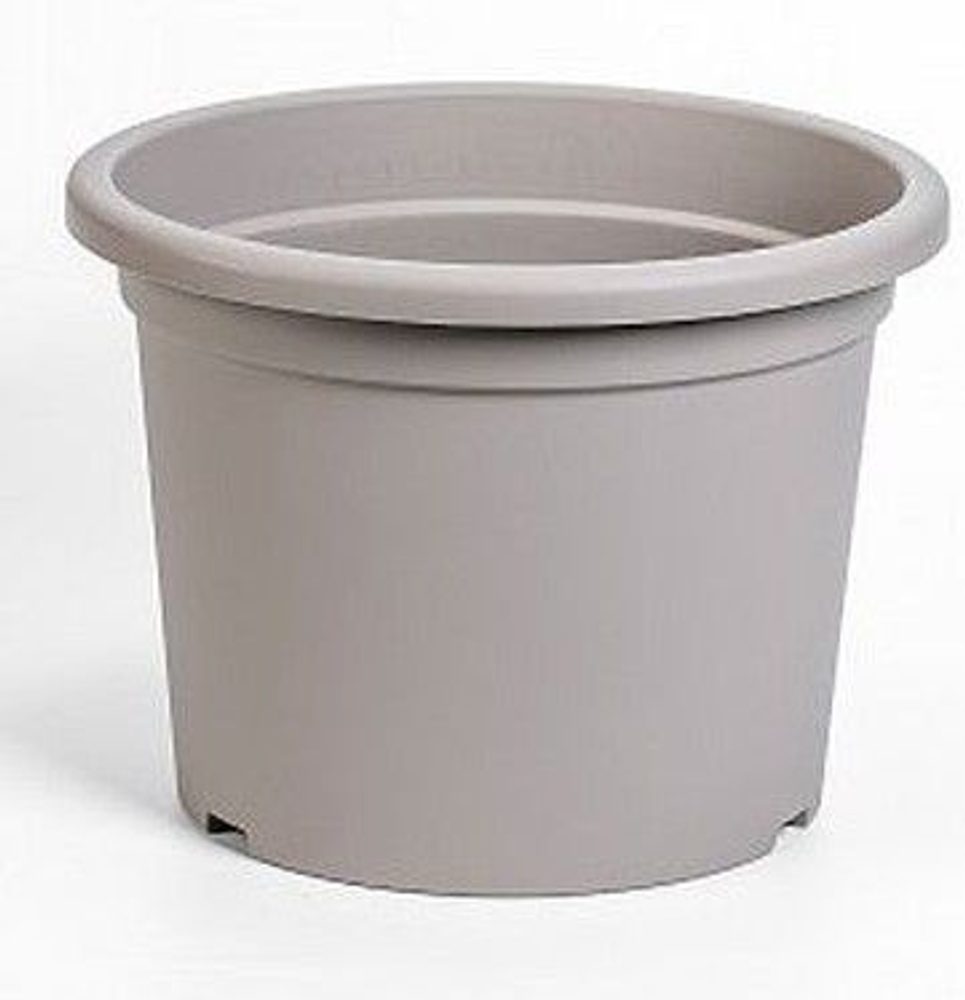 Levně obal d50cm Narcis TAUPE
