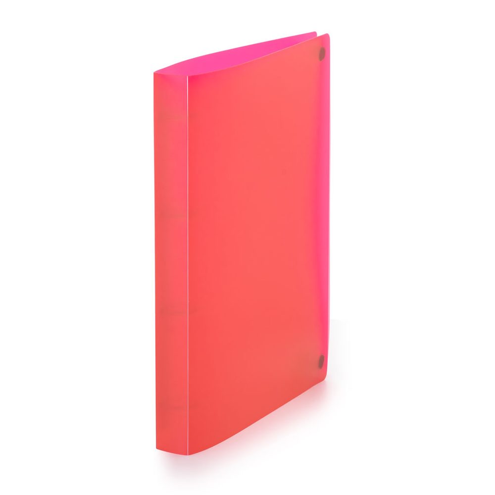 Karton P+P Pořadač PP A4 D20 4kr. Opaline růžová