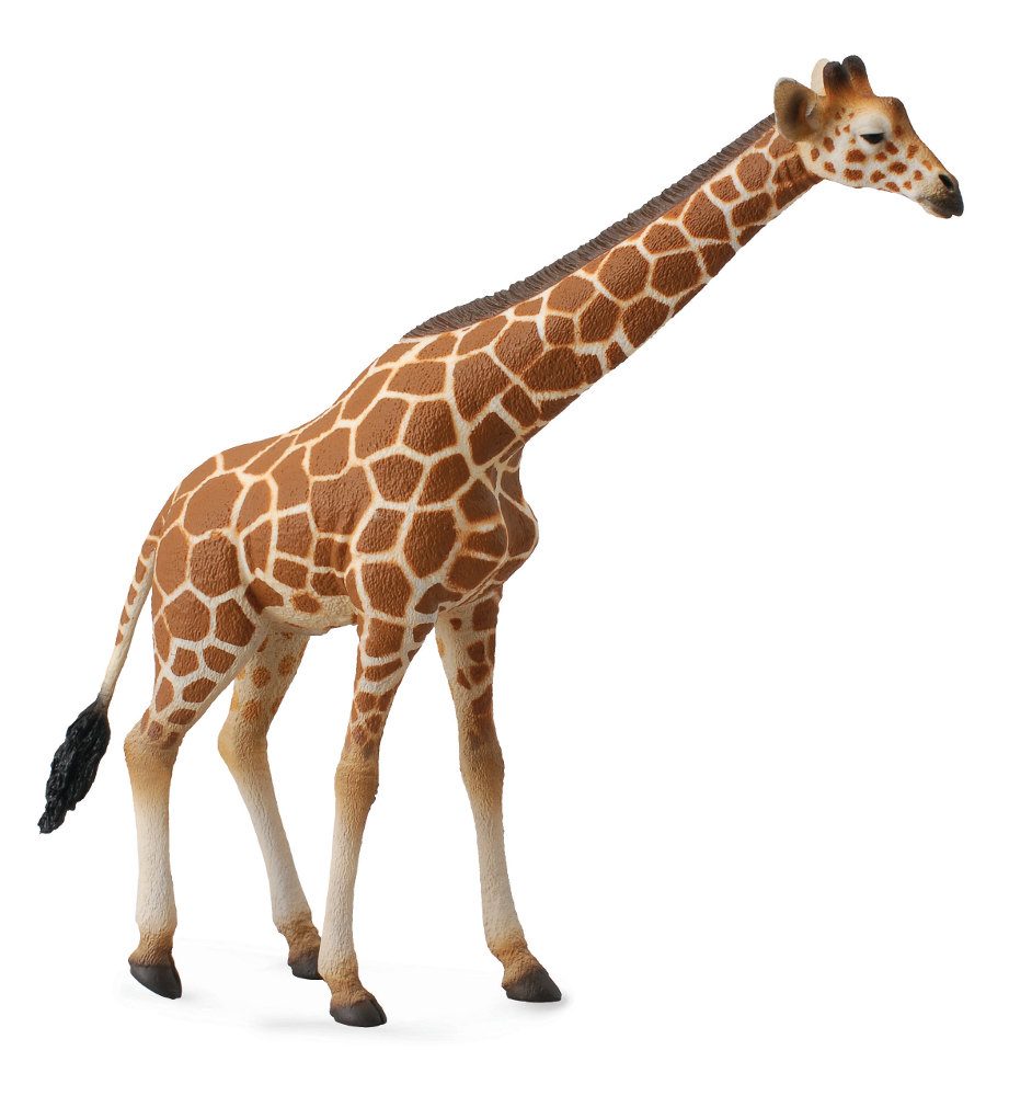 Levně Collecta Žirafa