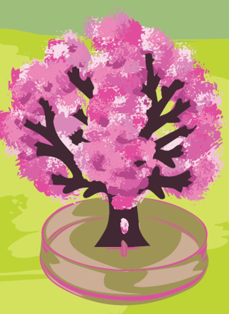 ARTO Kouzelná sakura (obrázek 2)