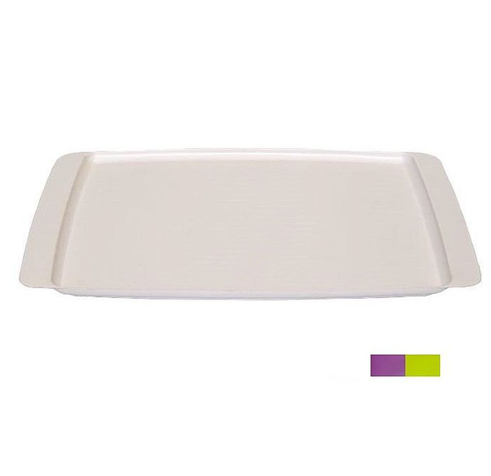 Levně podnos 30x22cm, obd.145, BÍ,FIAL,ZEL., plast