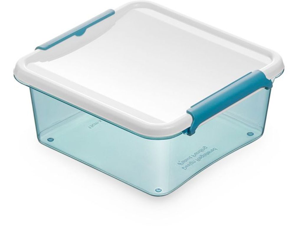 Levně box 0,85l ARCTIC LINE-1172, 15x15x6,5cm, plast