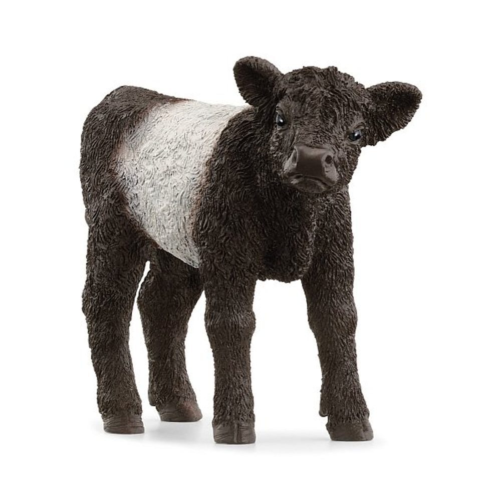 Levně SCHLEICH Zvířátko - gallowayské tele