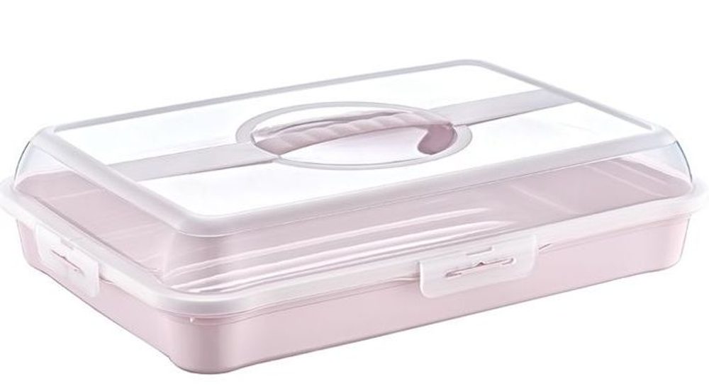 Levně box PARTY-Enrico, 43x29,5x10,5cm, sev.růž., plast