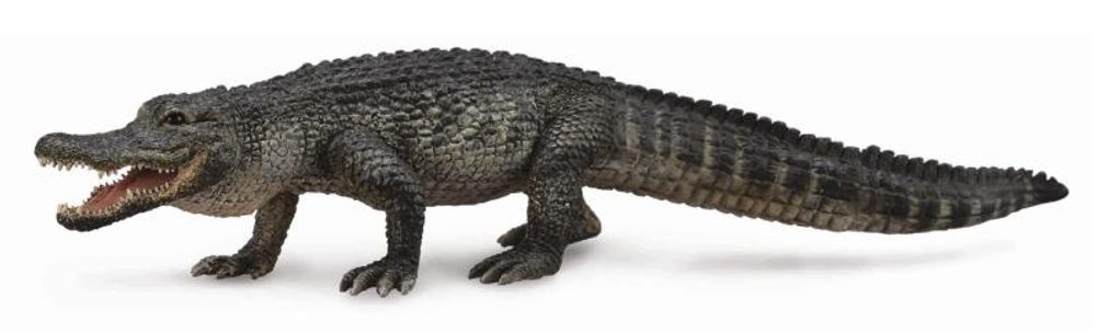 Levně Collecta Aligátor americký