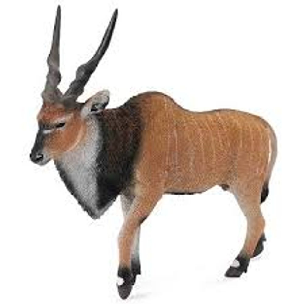 Levně COLLECTA Antilopa antilopa Eland