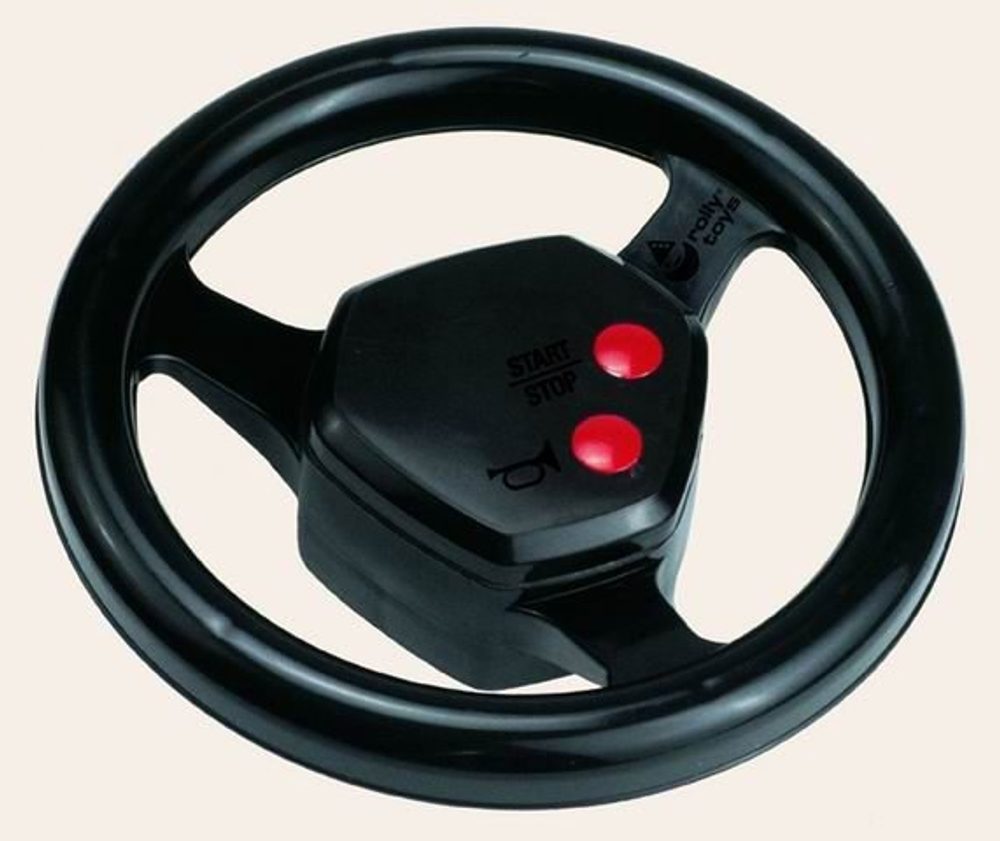 Levně ROLLYTOYS Volant s houkačkou v kartonu