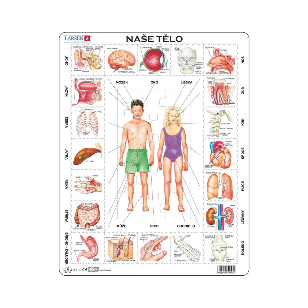 Levně NAŠE TĚLO 35 d. EDU Puzzle