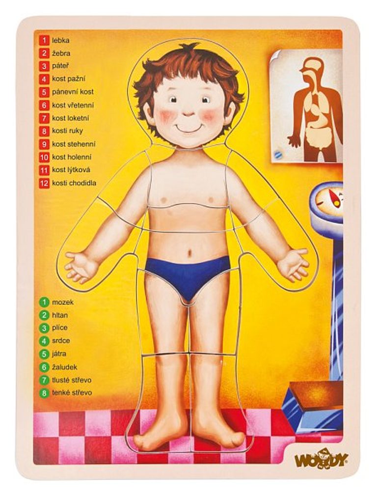 Levně Woody Puzzle lidské tělo