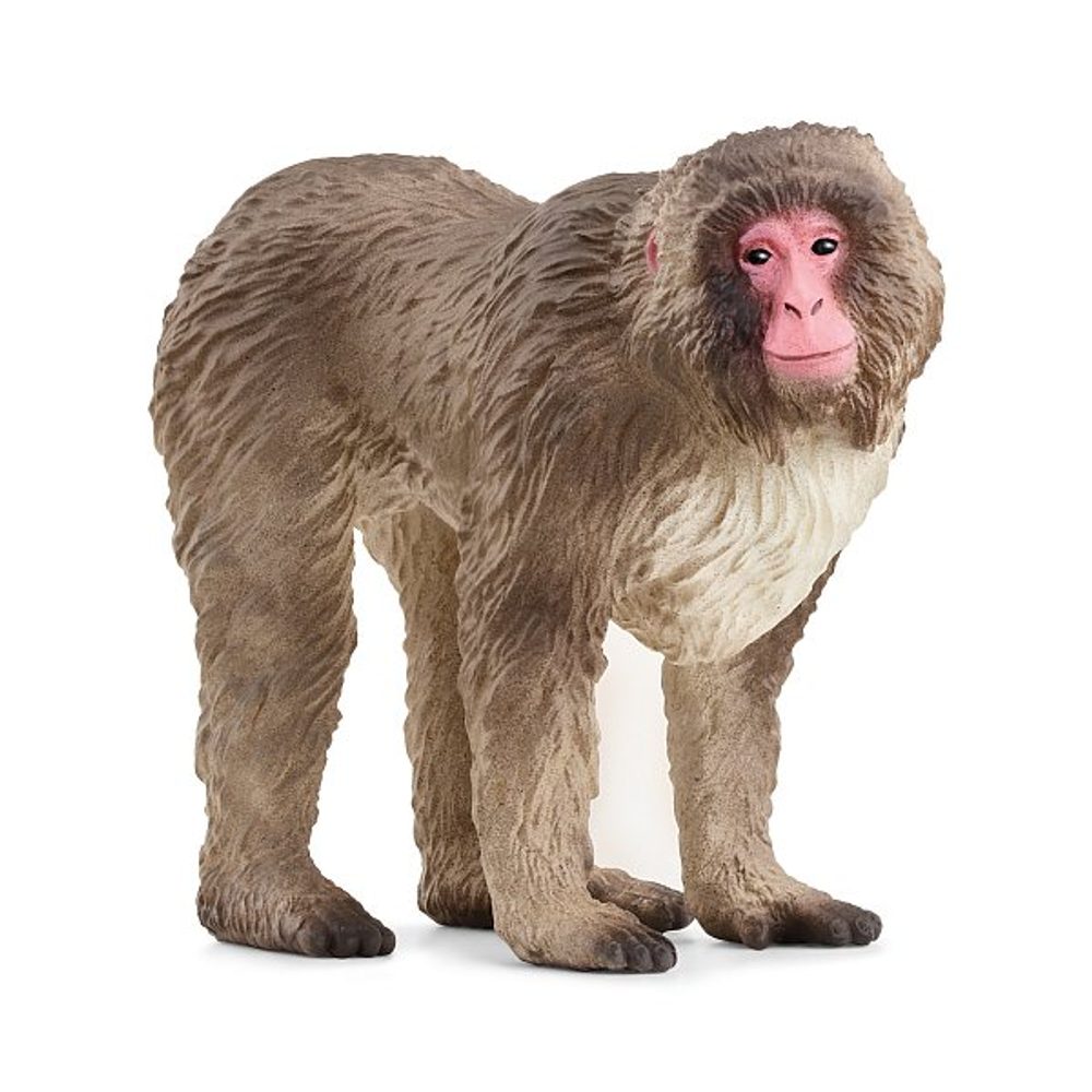 Levně SCHLEICH Zvířátko - makak červenolící
