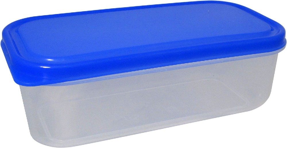 Levně box 0,60l FRESH 18x9x6cm