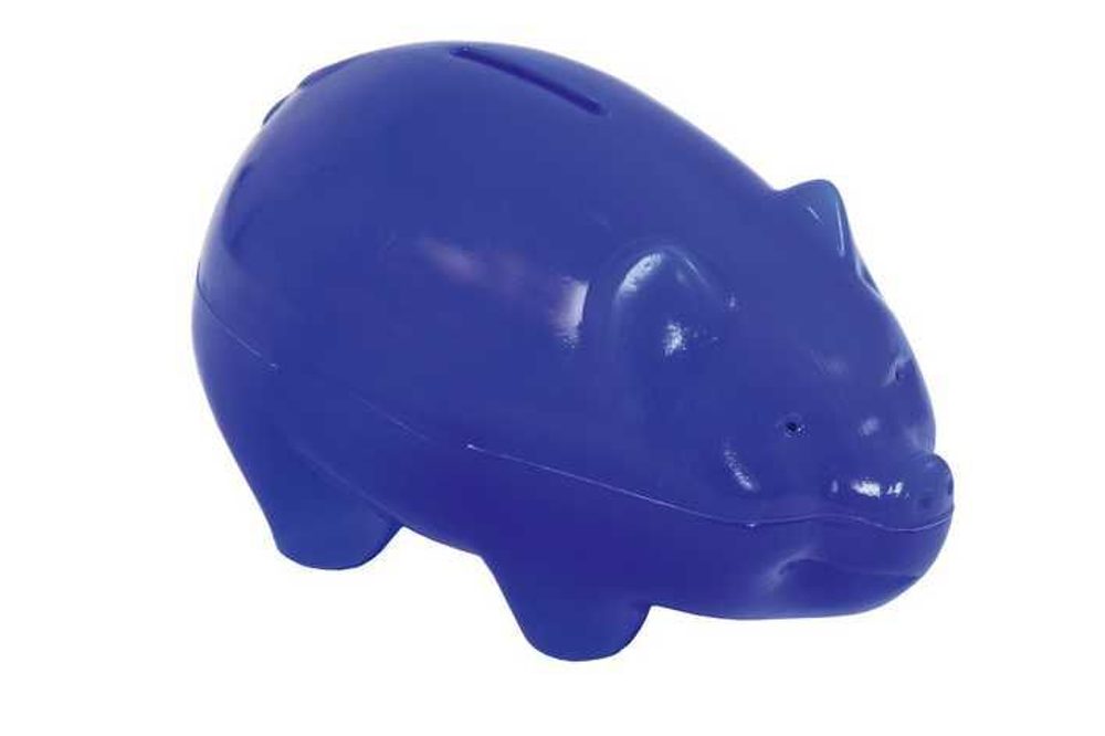 Levně Směr Prasátko velké