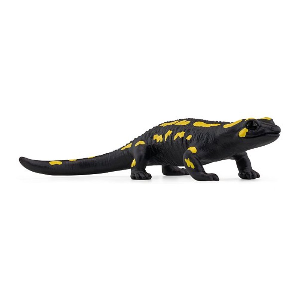 Levně SCHLEICH Zvířátko - mlok skvrnitý