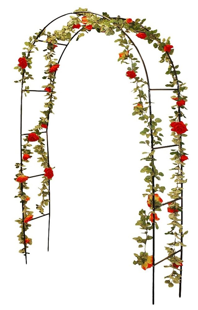 PROGARDEN Zahradní oblouk na růže a popínavé rostliny 140 x 240 cm KO-X61250000