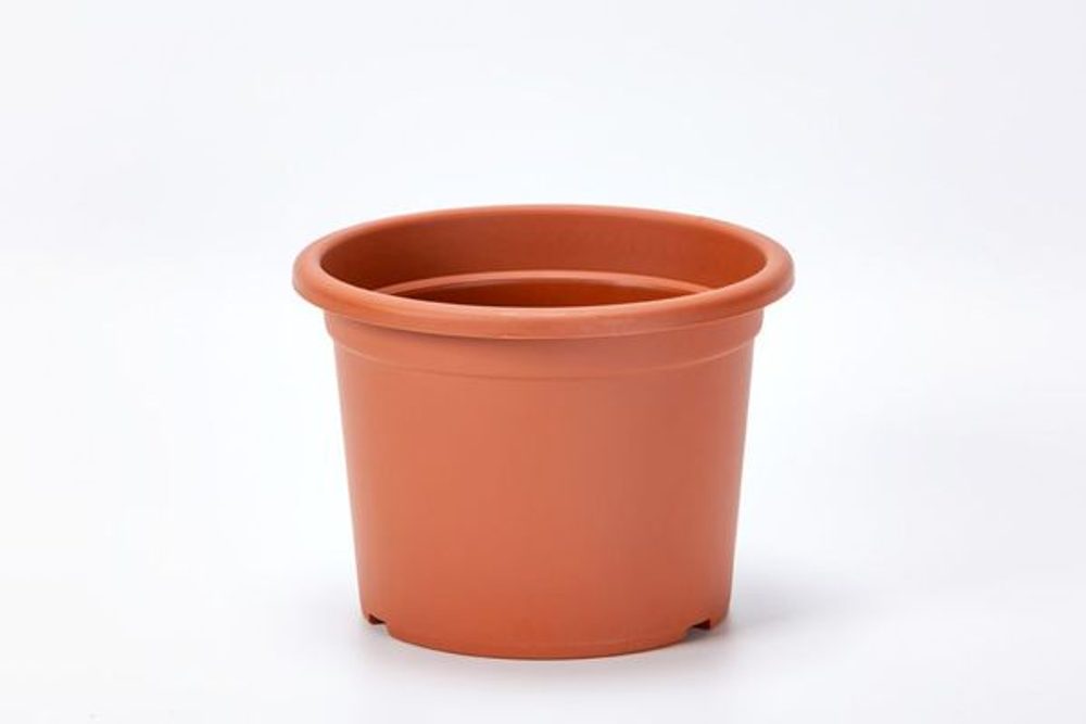 Levně obal d13cm Narcis TER