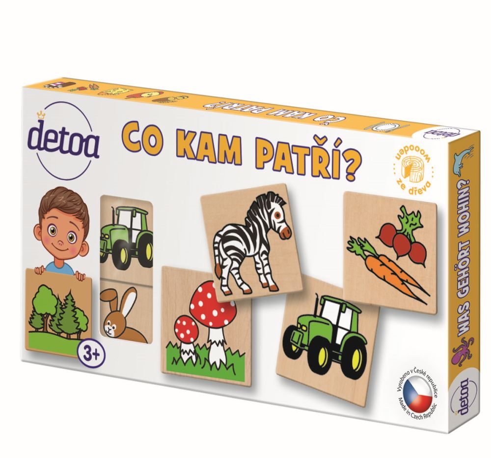 Levně Detoa Co kam patří?