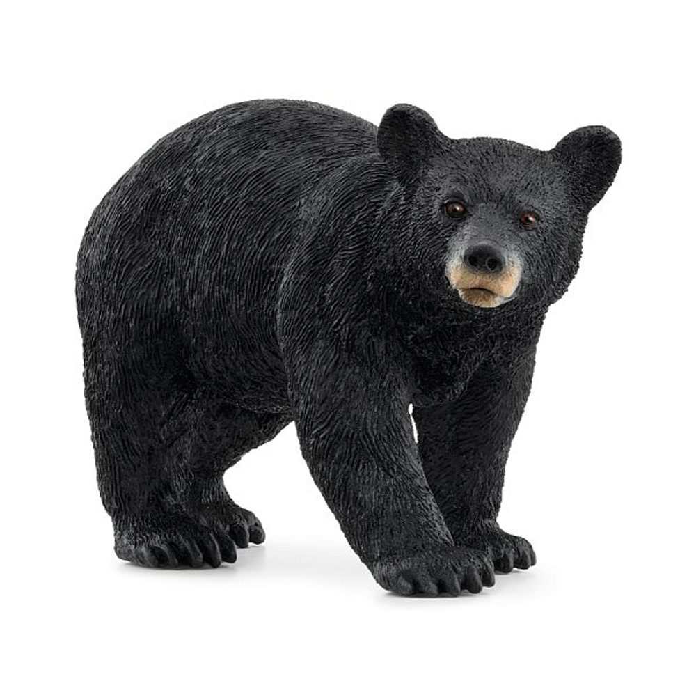 Levně SCHLEICH Zvířátko - medvěd černý